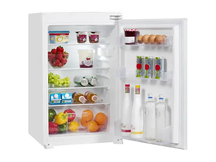 Everglades EVBI60881 koelkast interieur